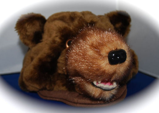 Brown Bear Hat